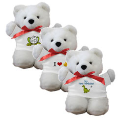 Baby First Birthday Gift - Teddy Bear